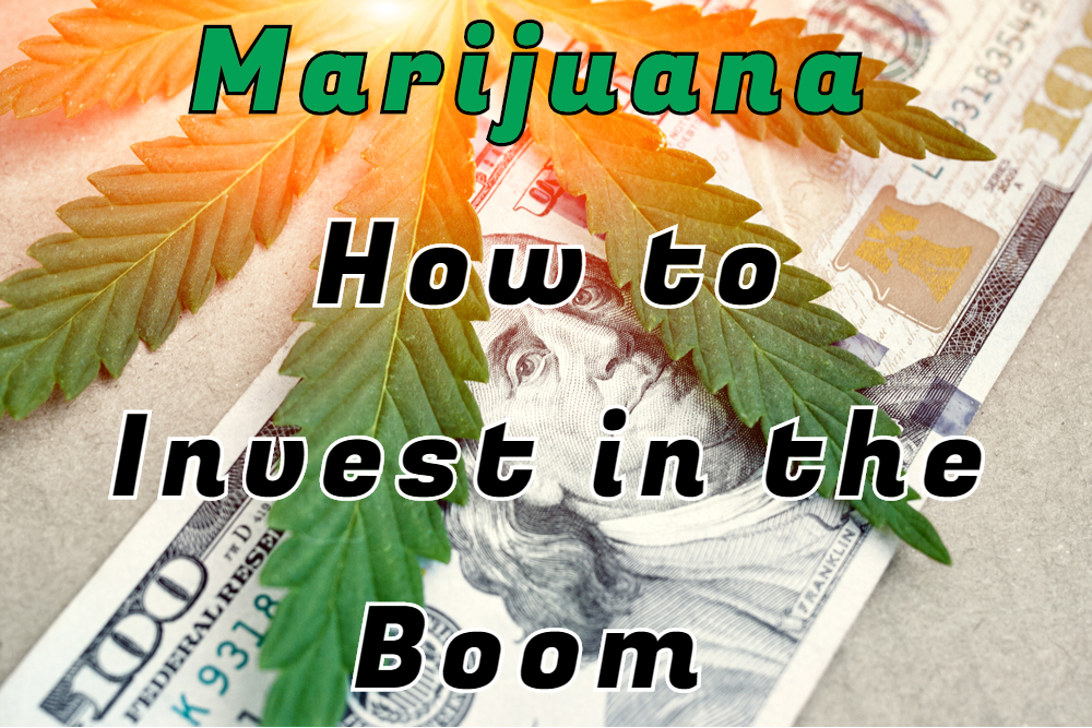 Marijuana Cannabis stocks investing trading