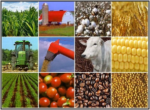 image of commodities